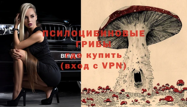 эйфоретик Тайга